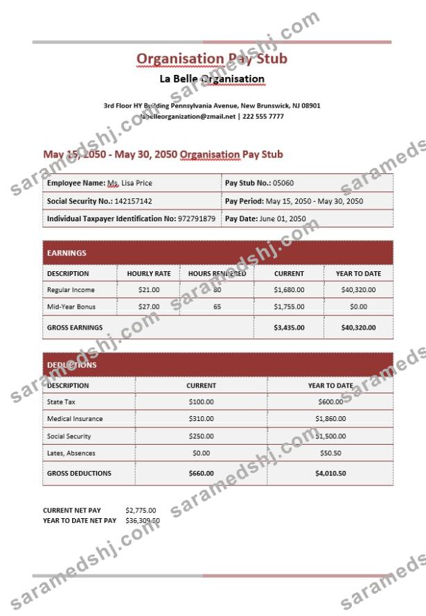 La Belle Organisation Paystub Word and PDF template